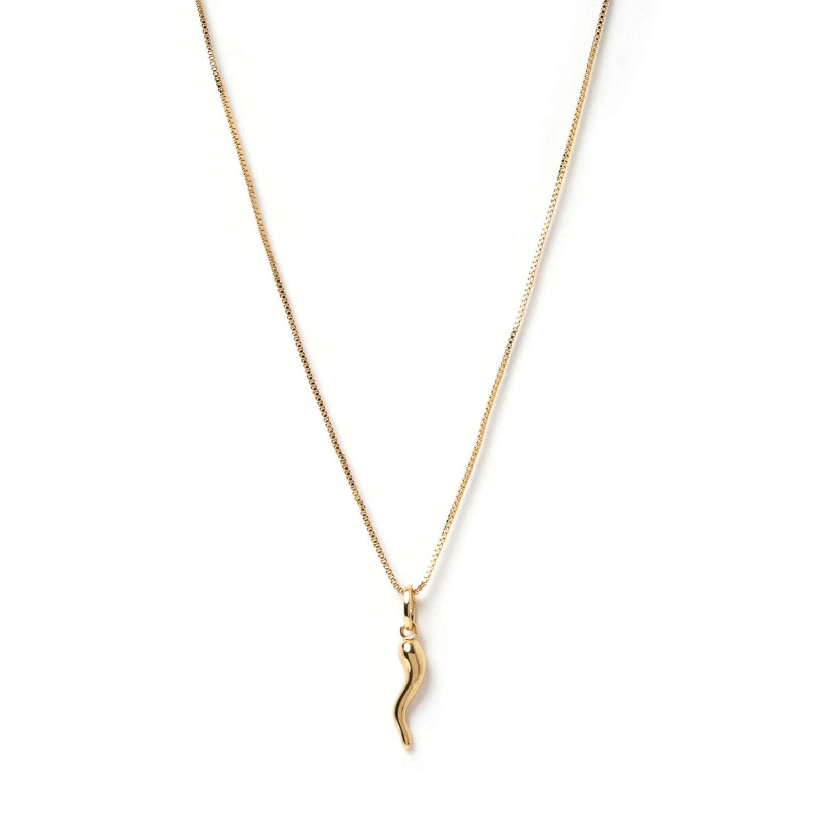 Arms Of Eve Cornicello Gold Charm Necklace