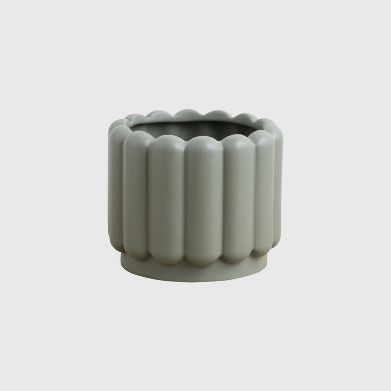 Potted SML Vienna Planter Eucalypt